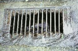 Image of storm drain